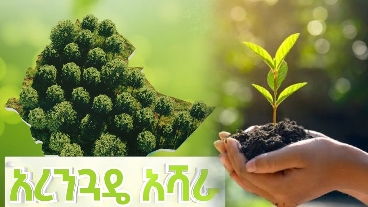 green legacy